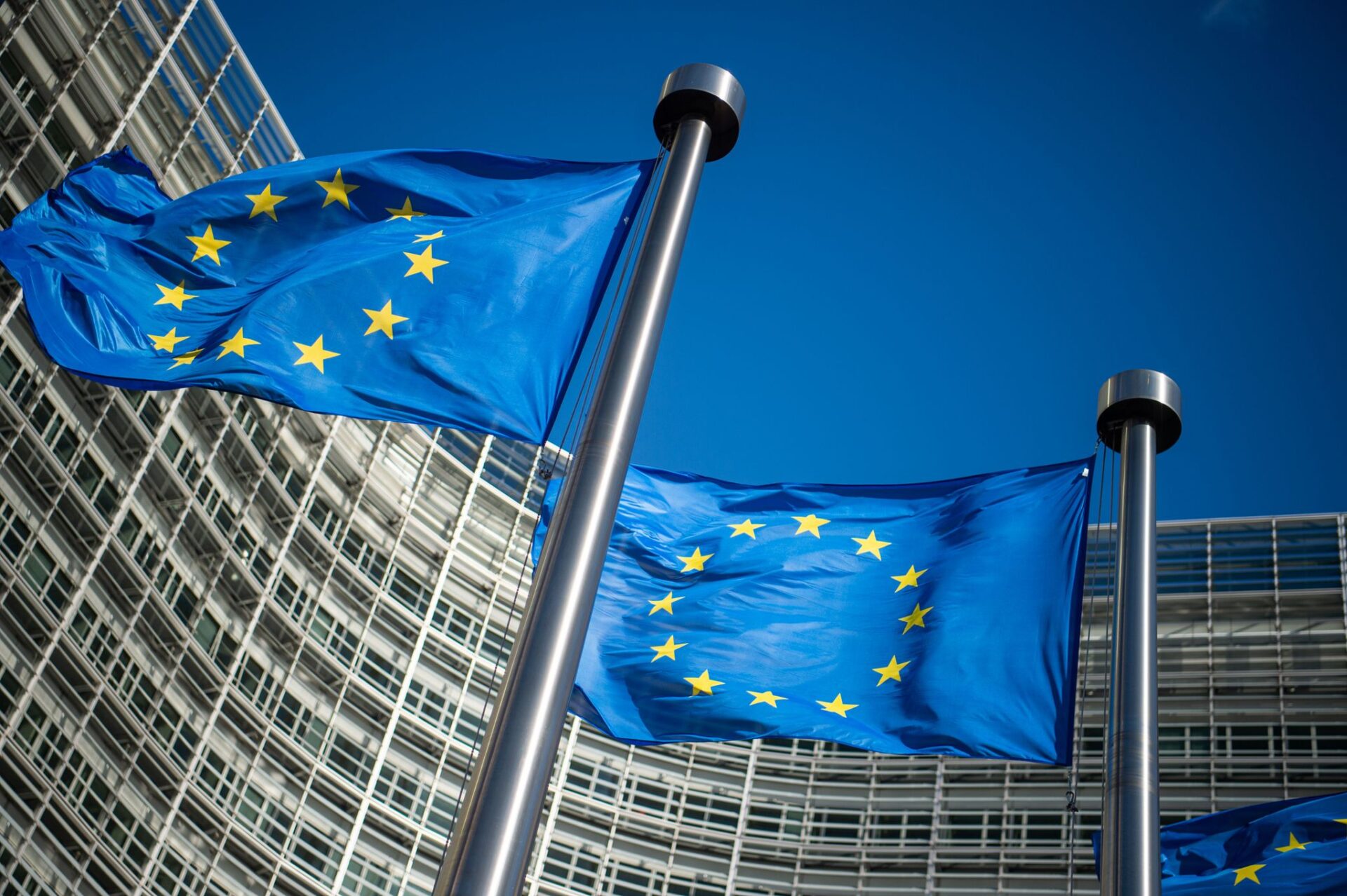 EU se díky rozšíření stala větším hráčem na světovém trhu, říká politolog