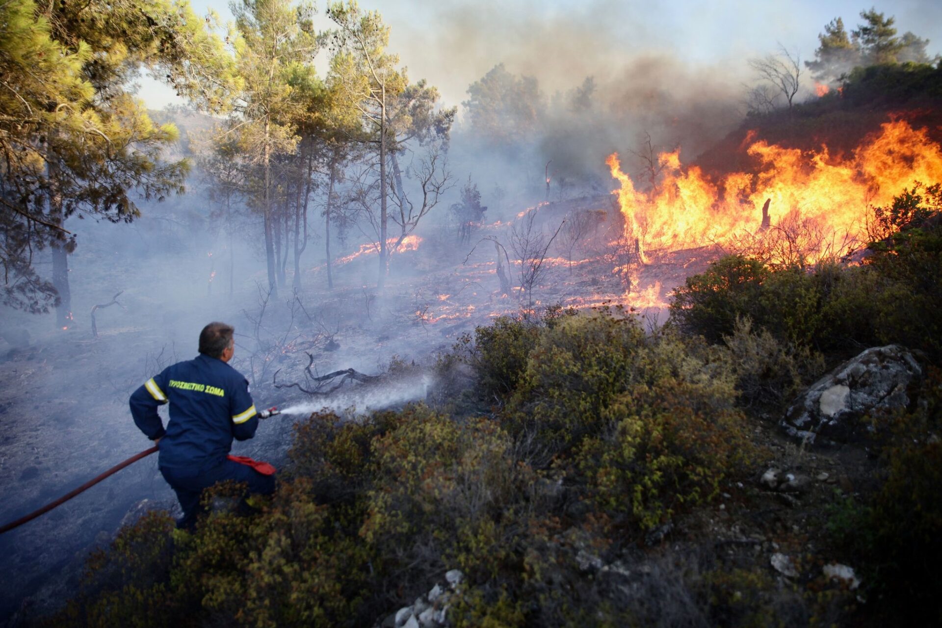 Europe in brief: Greece ravaged by wildfires